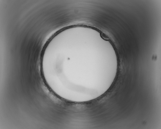 X0000113760888200910211206