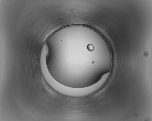X0000113760889200910211206