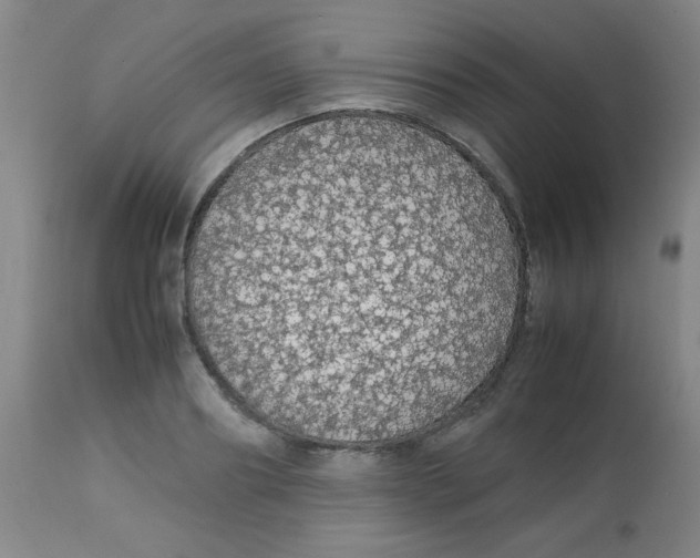 X0000113760890200910211206
