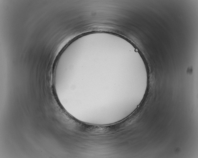 X0000113760891200910211206