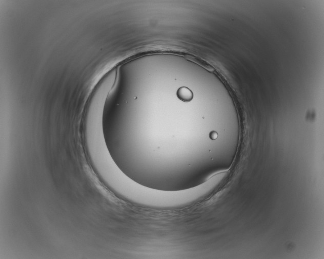 X0000113760893200910211206