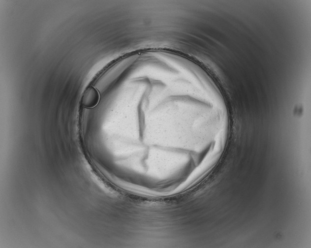 X0000113760894200910211206