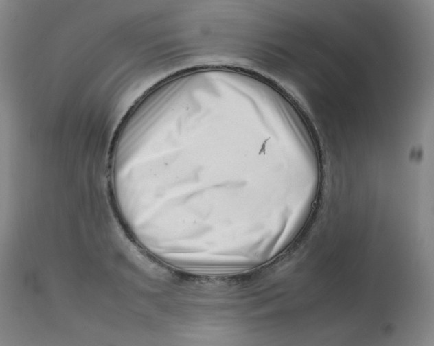 X0000113760895200910211206