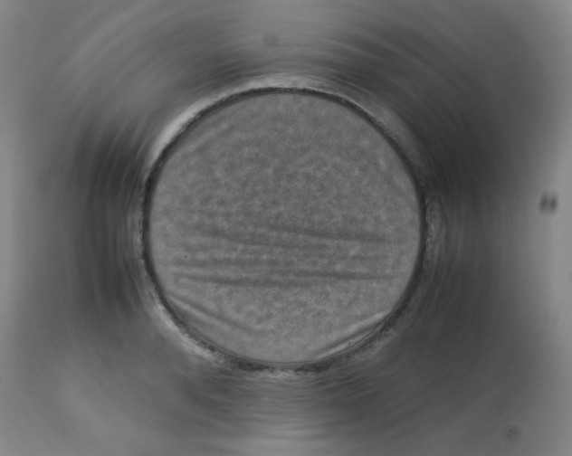 X0000113760896200910211206