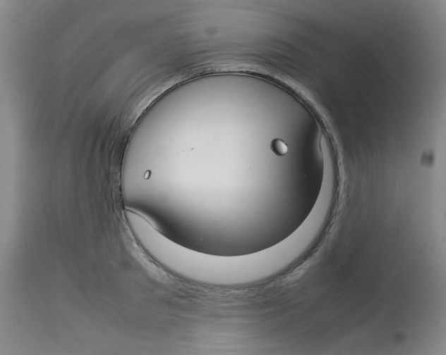 X0000113760897200910211206