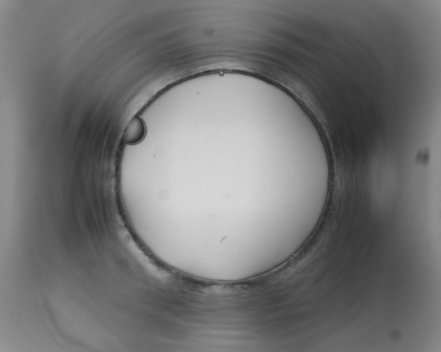 X0000113760898200910211206