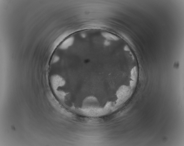X0000113760899200910211206