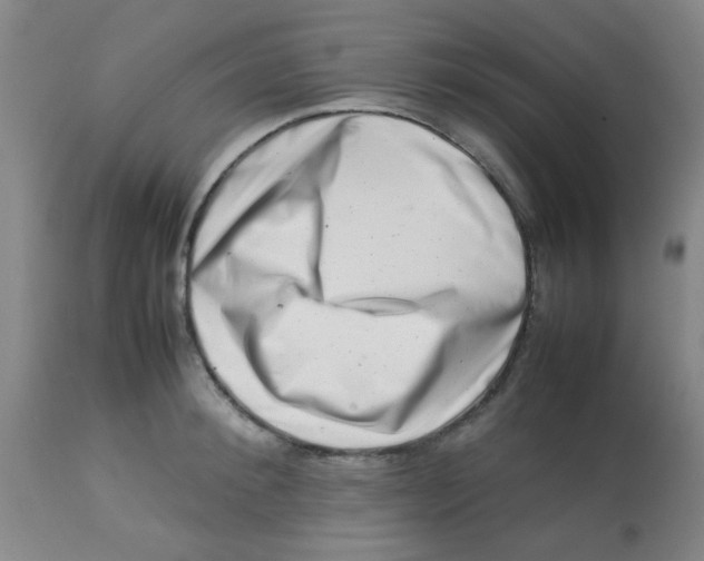 X0000113760900200910211206