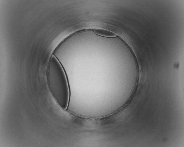 X0000113760901200910211206