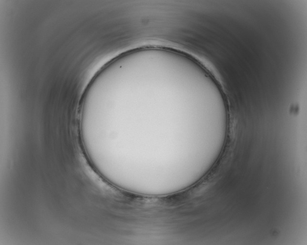 X0000113760903200910211206