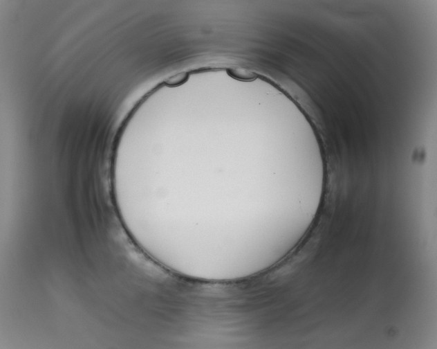 X0000113760904200910211206