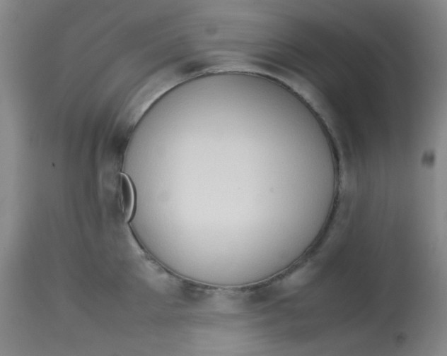 X0000113760905200910211206
