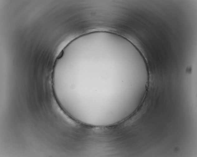 X0000113760906200910211206