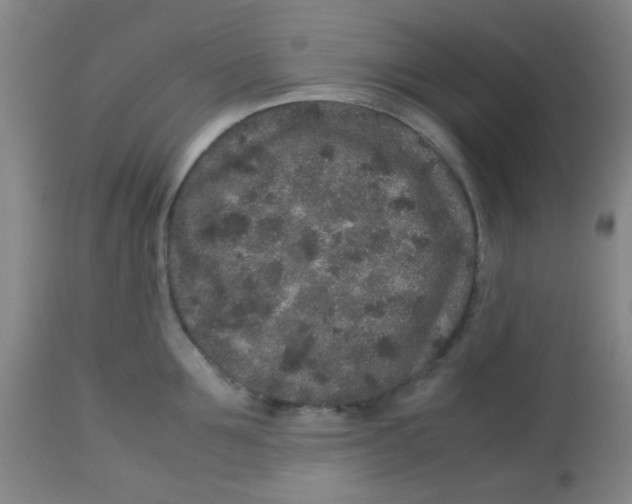 X0000113760907200910211206