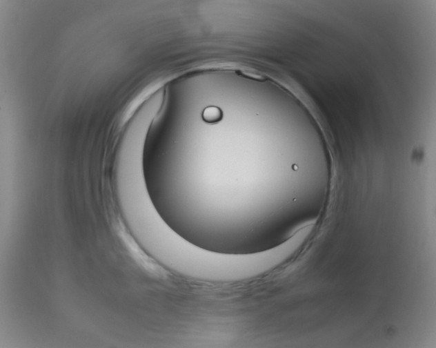 X0000113760909200910211206