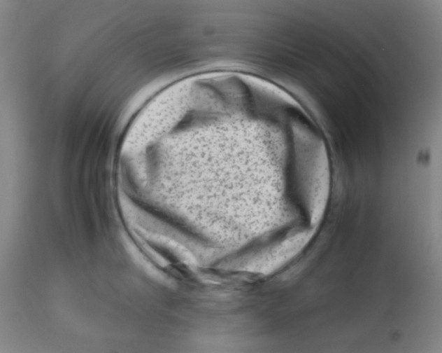 X0000113760910200910211206