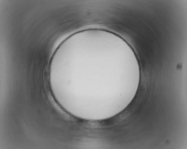 X0000113760911200910211206