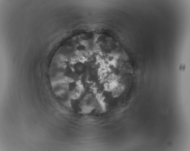 X0000113760913200910211205