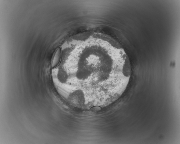 X0000113760914200910211205