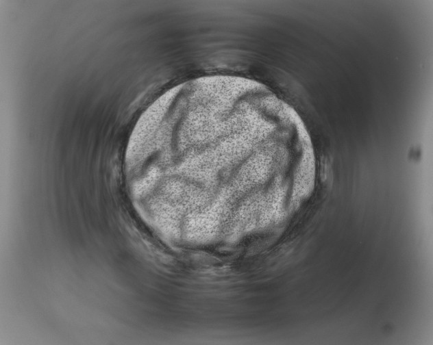 X0000113760915200910211205