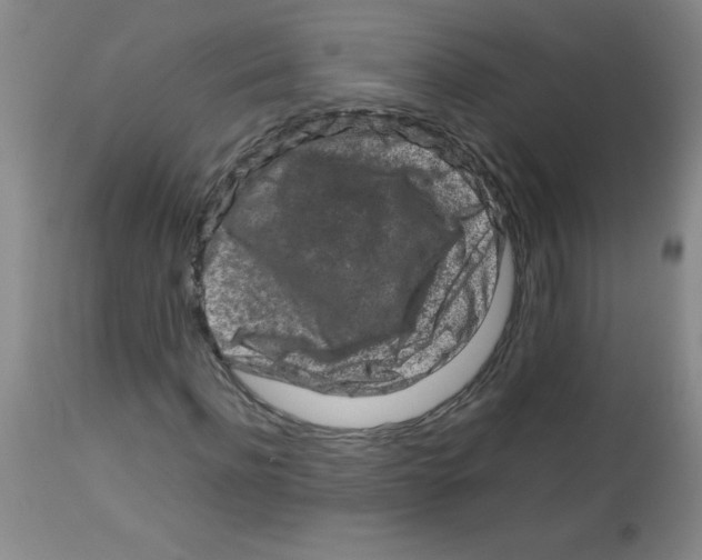 X0000113760916200910211205