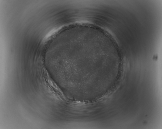 X0000113760919200910211205