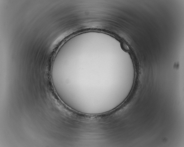 X0000113760922200910211205