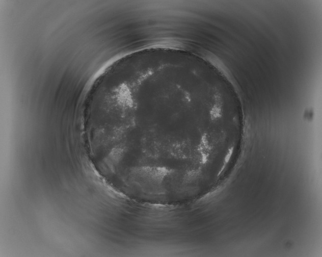 X0000113760923200910211206