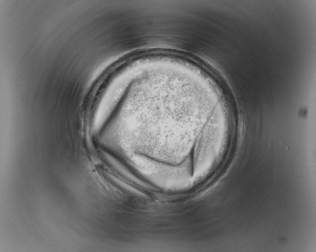 X0000113760925200910211206