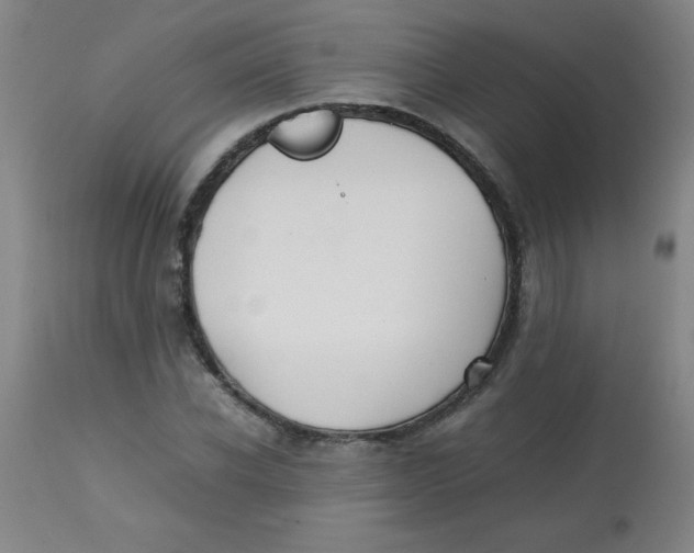 X0000113760926200910211206