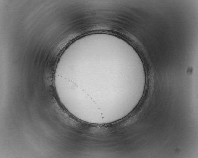 X0000113760929200910211206