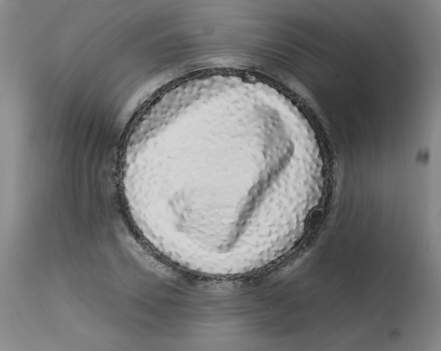 X0000113760930200910211206
