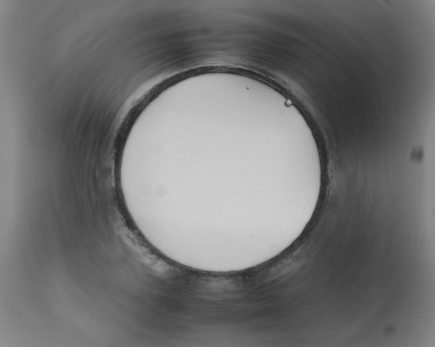 X0000113760931200910211206