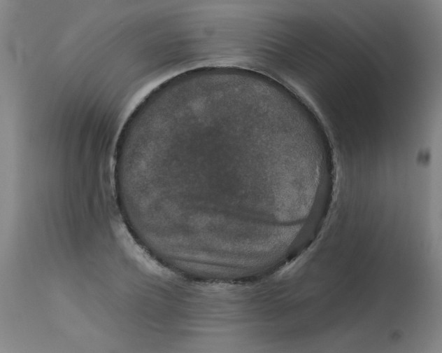 X0000113760932200910211206