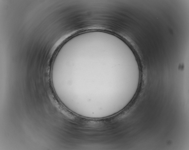 X0000113760933200910211206
