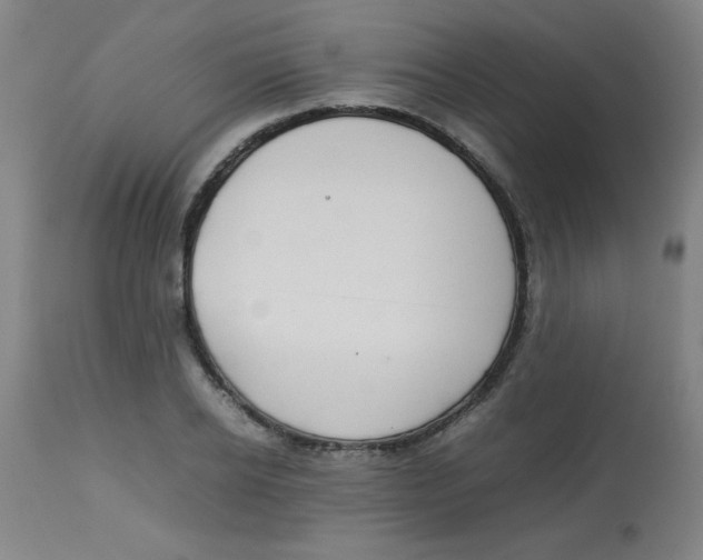 X0000113760934200910211206