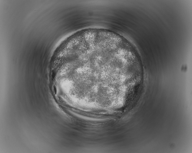 X0000113760935200910211206