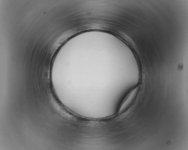 X0000113760938200910211206