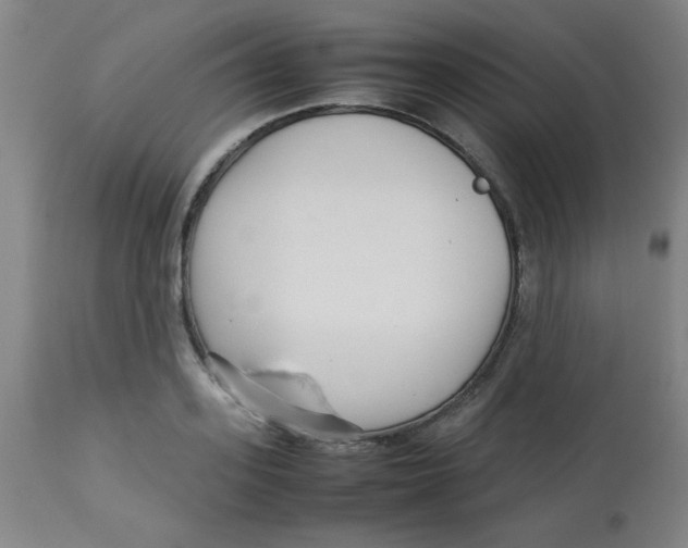 X0000113760939200910211206