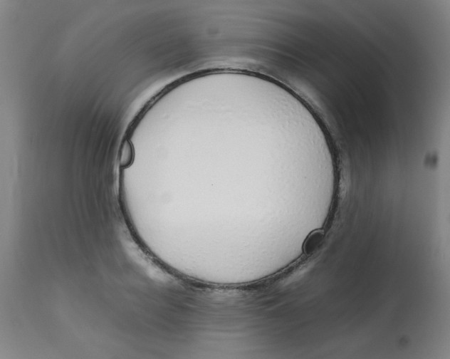X0000113760940200910211206