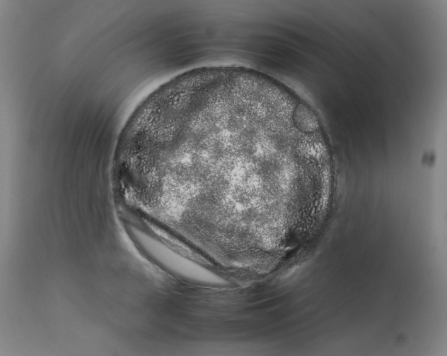 X0000113760943200910211206