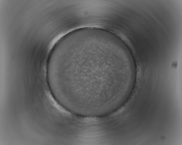 X0000113760944200910211206