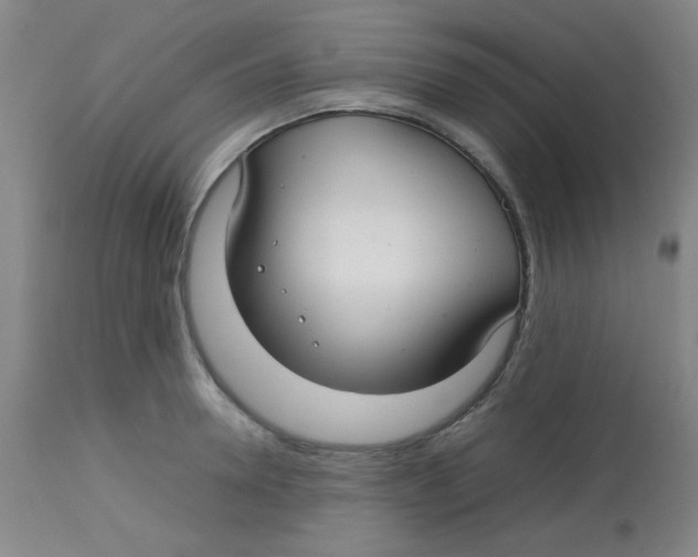 X0000113760946200910211206