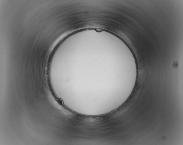 X0000113760947200910211206