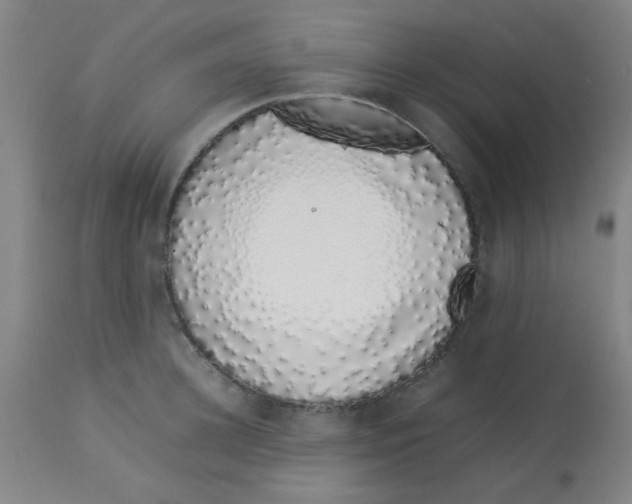 X0000113760948200910211206