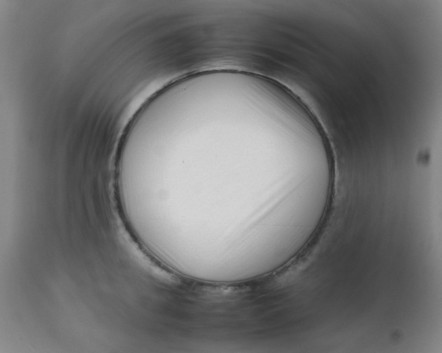 X0000113760949200910211206