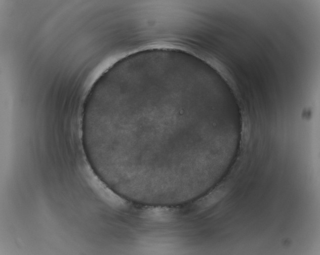 X0000113760950200910211206