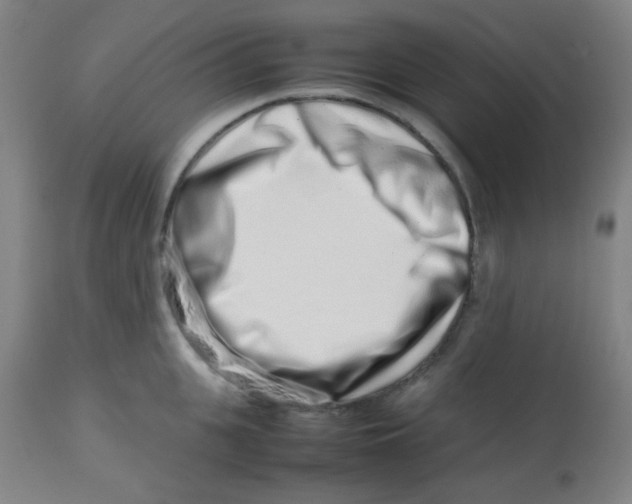 X0000113760951200910211206