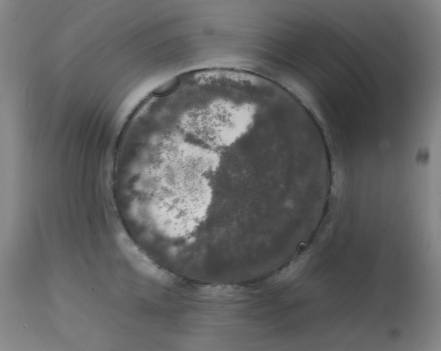 X0000113760952200910211206