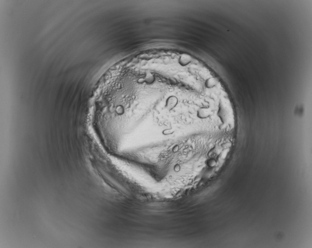 X0000113760953200910211206